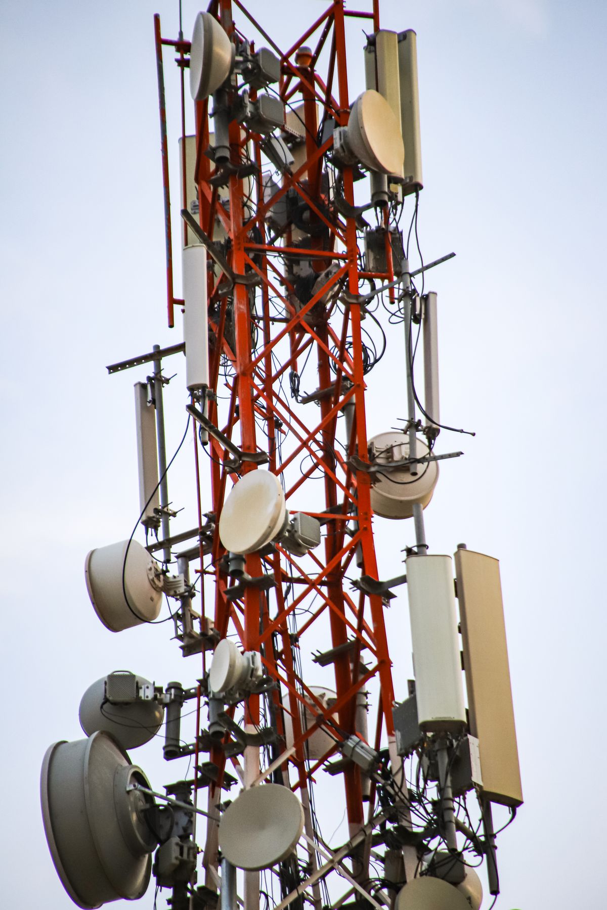 Telecommunications tower with wireless antennas and radio equipment